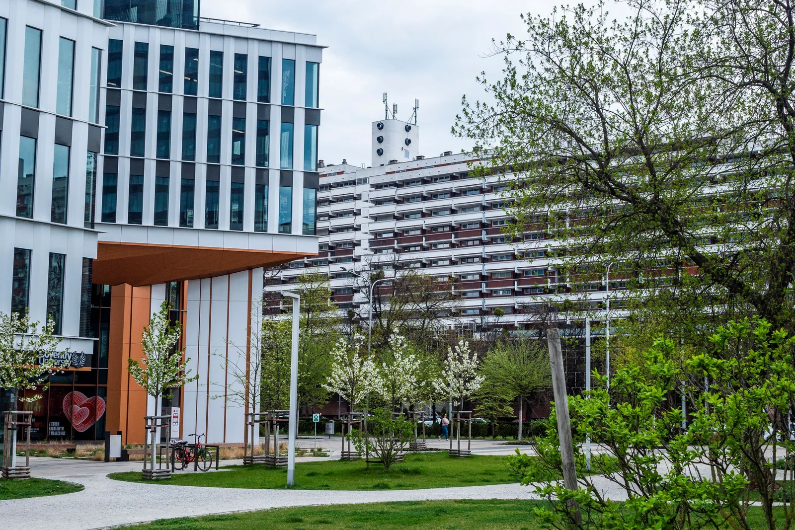Trees and paths in the park next to the building